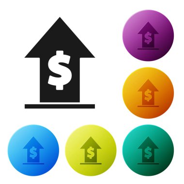Siyah Finansal büyüme ve madeni para ikonu beyaz arka planda izole edilmiş. Gelirleri arttırıyorum. Renkli daire düğmelerini ayarlayın. Vektör İllüstrasyonu
