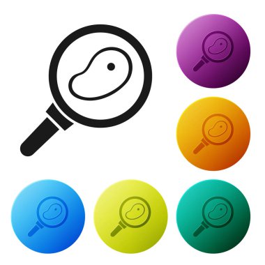 Kızartma tavasında siyah biftek, beyaz arka planda izole edilmiş. Renkli daire düğmelerini ayarlayın. Vektör İllüstrasyonu