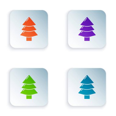 Beyaz arkaplanda izole edilmiş renkli Noel ağacı simgesi. Mutlu Noeller ve mutlu yıllar. Kare düğmelere simgeleri yerleştir. Vektör İllüstrasyonu