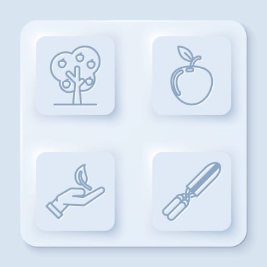 Ağaç hattını elma, elma, filizlenme çevre koruma ve bahçe makası ile budamak için hazırlayın. Beyaz kare düğme. Vektör