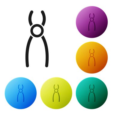 Beyaz arkaplanda siyah diş pensesi simgesi izole edildi. Diş aletleri. Renkli daire düğmelerini ayarlayın. Vektör İllüstrasyonu