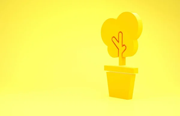 Gul träd i potten ikon isolerad på gul bakgrund. Krukväxt i krukor. Naturlig inredning för hem och interiör. Krukväxt tecken. Minimalistiskt koncept. 3D-illustration 3D-återgivning — Stockfoto