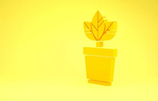 Κίτρινα λουλούδια στο εικονίδιο ποτ απομονώνονται σε κίτρινο φόντο. Φυτό που φυτρώνει σε γλάστρα. Σήμα από γλάστρα. Μινιμαλιστική έννοια. 3D απεικόνιση 3d καθιστούν — Φωτογραφία Αρχείου
