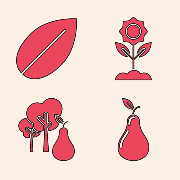 Set Peer, Blad, Bloem en Boom met peren icoon. Vector — Stockvector