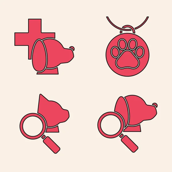 Σύνολο Κτηνιατρική κλινική σύμβολο, Κτηνιατρική κλινική σύμβολο, Κολάρο με ετικέτα όνομα και Κτηνιατρική κλινική σύμβολο εικονίδιο. Διάνυσμα — Διανυσματικό Αρχείο