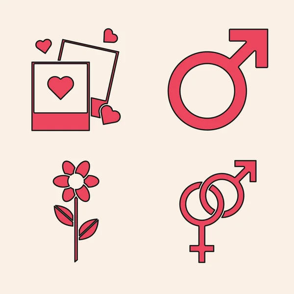 Set Gender, Two blanks photo frames and hearts, Male gender symbol and Flower icon. Vector — Stock Vector