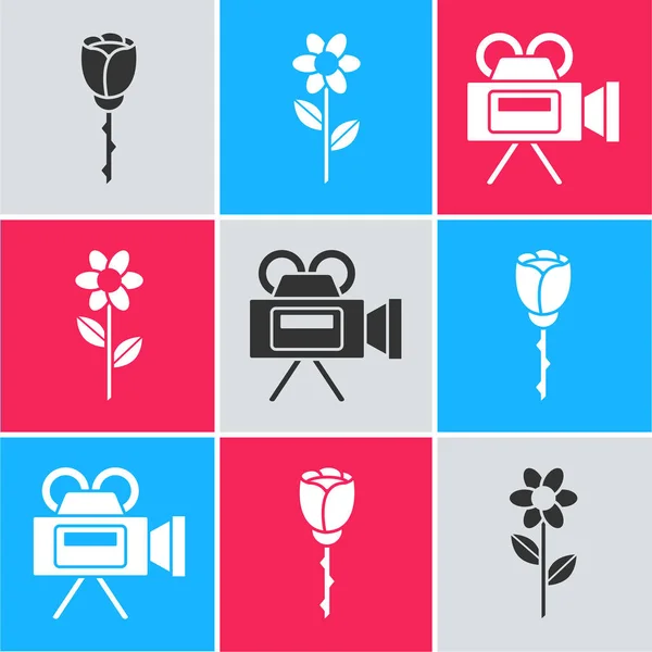 Set Flower rose, Flower and Cinema camera icon. Vector