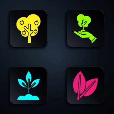 Yapraklar, Elmalı Ağaç, Bitki ve Ağaç çevreci koruma altında. Siyah kare düğme. Vektör