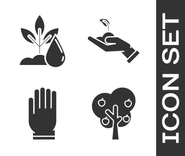Set Árbol con manzana, Planta de riego, Guantes de jardín y Brote en mano del icono de la protección del medio ambiente. Vector — Vector de stock