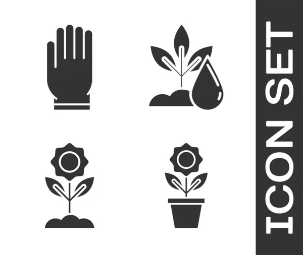 Set Flower in pot, Garden gloves, Flower and Watering plant icon. Vector — 스톡 벡터