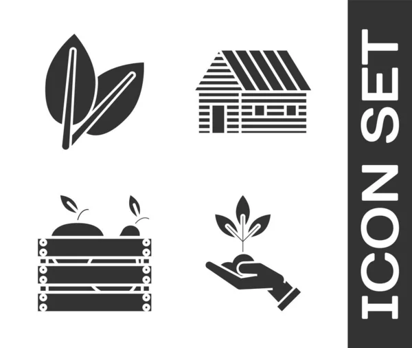 Set Plant in hand of environmental protection, Leafs, Wooden box for fruits and vegetables and Farm house icon. Vector — 스톡 벡터