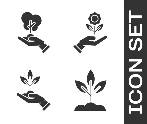 Set Plant, Tree in hand of environmental protection, Plant in hand of environmental protection and Hand holding flower icon. Vector — 스톡 벡터