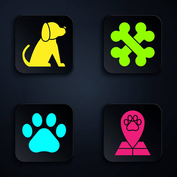 Set Map pointer with veterinary medicine hospital, Dog, Paw print and Crossed bones. Black square button. Vector