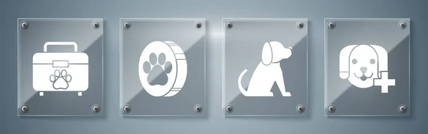 Набор символов ветеринарной клиники, собака, отпечаток лапы и набор первой помощи для домашних животных. Квадратные стекла. Вектор — стоковый вектор