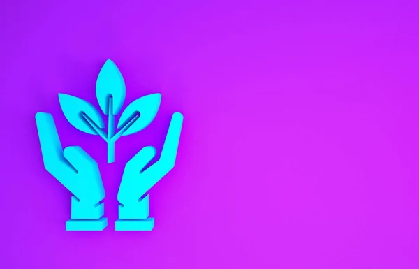 Блакитна Рослина Руках Ікони Захисту Навколишнього Середовища Ізольована Фіолетовому Фоні — стокове фото