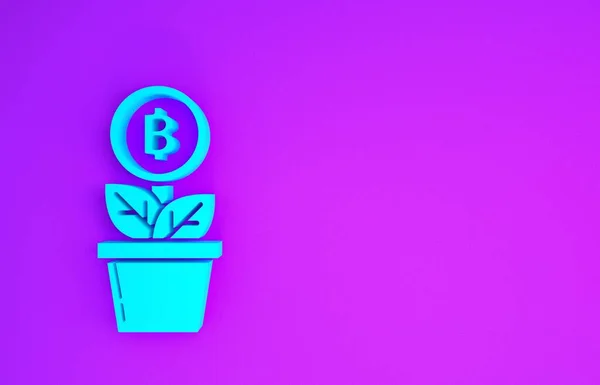 Blauwe Bitcoin Plant Pot Pictogram Geïsoleerd Paarse Achtergrond Groei Van — Stockfoto