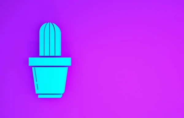 Блакитний Кактус Сукулентна Ікона Горщику Ізольовані Пурпуровому Фоні Рослина Росте — стокове фото