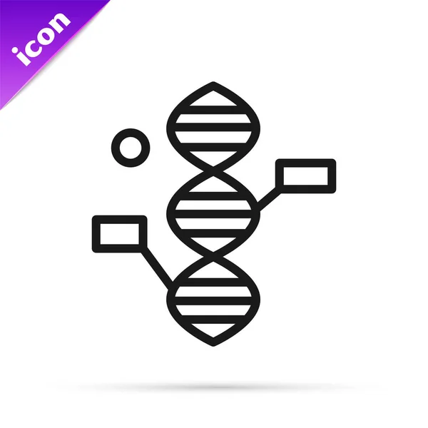 Black Line Dna Symbol Icon Isolated White Background Vector Illustration — Stock Vector