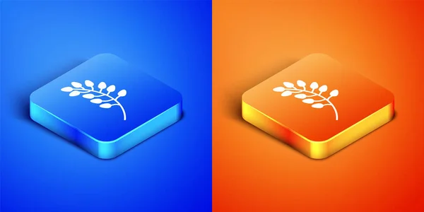 Isométrique Icône Feuille Saule Isolé Sur Fond Bleu Orange Bouton — Image vectorielle