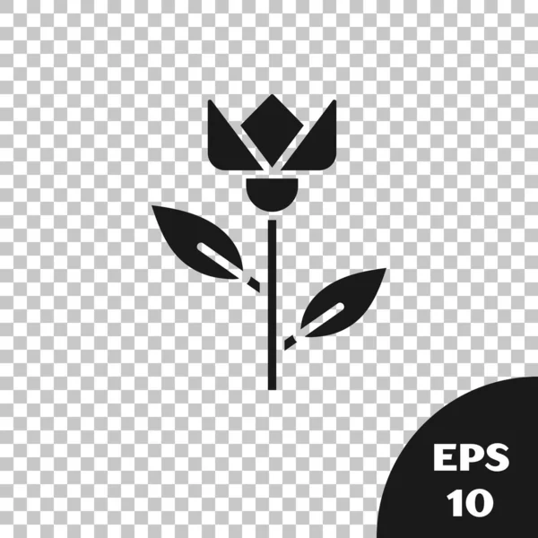 Icône de tulipe fleur noire isolée sur fond transparent. Illustration vectorielle — Image vectorielle