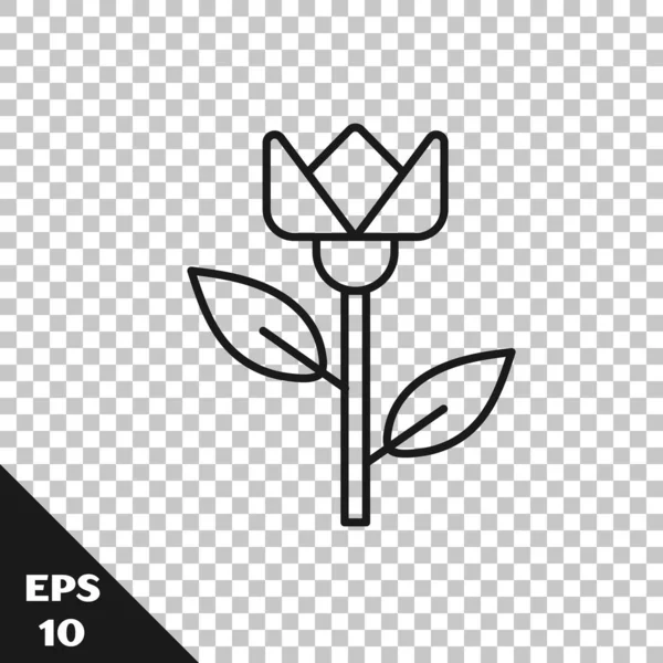Black line Flower tulip icon isolated on transparent background. Vector Illustration