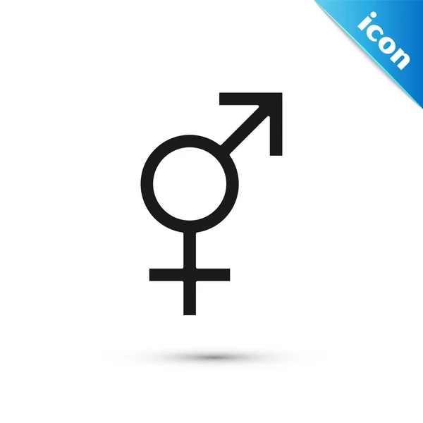 Graues Gender-Symbol isoliert auf weißem Hintergrund. Symbole von Männern und Frauen. Sexsymbol. Vektorillustration — Stockvektor