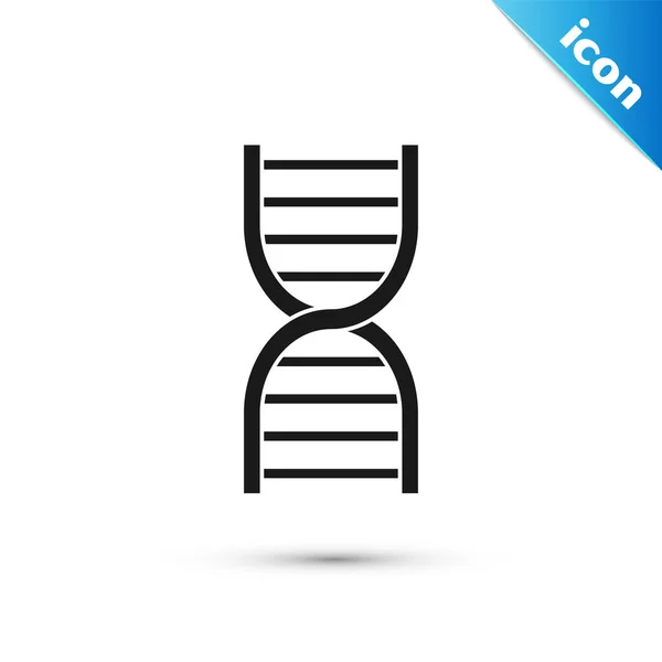 Grey DNA symbol icon isolated on white background. Vector Illustration — Stock Vector