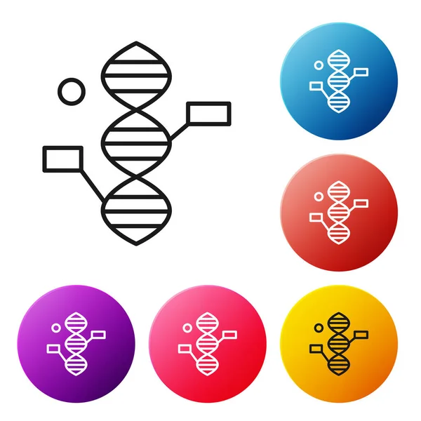 Black Line Dna Symbol Icon Isolated White Background Set Icons — Stock Vector