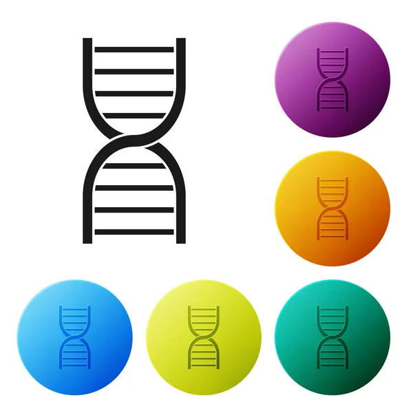 Black Dna Symbol Icon Isolated White Background Set Icons Color — Stock Vector