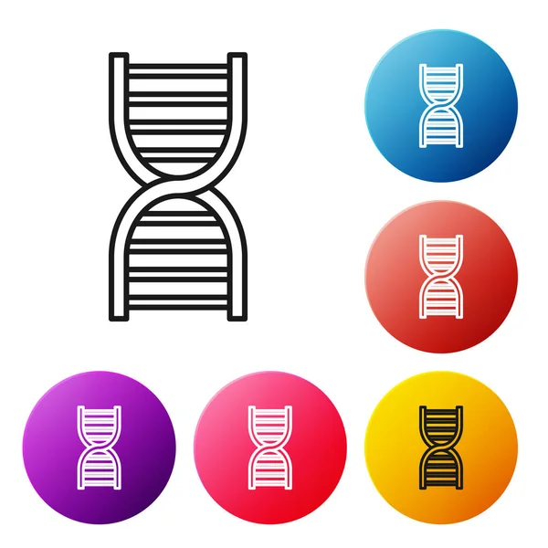 Zwarte lijn Dna symbool pictogram geïsoleerd op witte achtergrond. Stel pictogrammen kleurrijke cirkel knoppen. Vector Illustratie — Stockvector