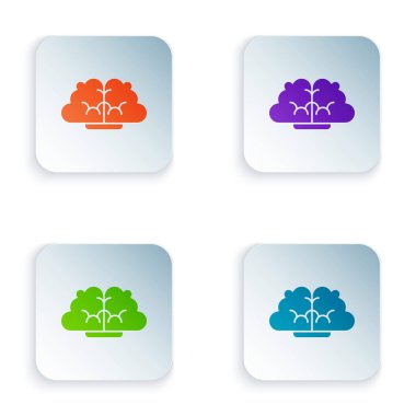 Beyaz arka planda izole edilmiş renkli insan beyni simgesi. Kare düğmelere renkli simgeleri yerleştir. Vektör İllüstrasyonu