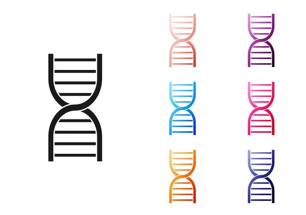 Black Dna Symbol Icon Isolated White Background Set Icons Colorful — Stock Vector