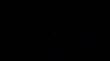 Beyaz çizgili mısır gevrekleri, pirinç, mısır, yulaf, çavdar, siyah arka planda izole edilmiş arpa ikonu. Buğday ekmeği sembolleri. 4K Video hareketli grafik canlandırması