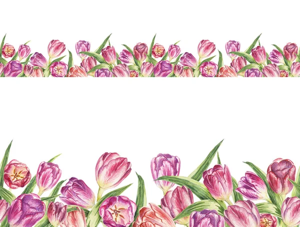 Seamless ribbon border. Tulips on a white background.Design for packaging, fabric, frame, paper. — Stock Photo, Image