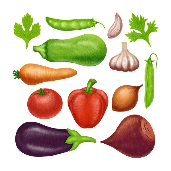 Gran Colección Las Verduras Clip Art Diseño Hecho Mano Adecuado —  Fotos de Stock