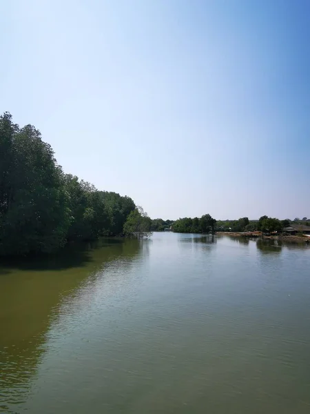 秋天的森林河流景观 秋天的河流在森林里 秋天的森林河流 — 图库照片