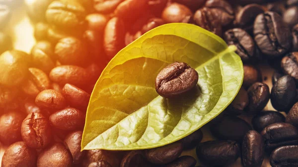 Крупним планом кавові зерна і листя на дерев'яному столі . — стокове фото