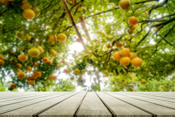 Mesa Superior Granja Frutas Naranja Background Copyspace — Foto de Stock