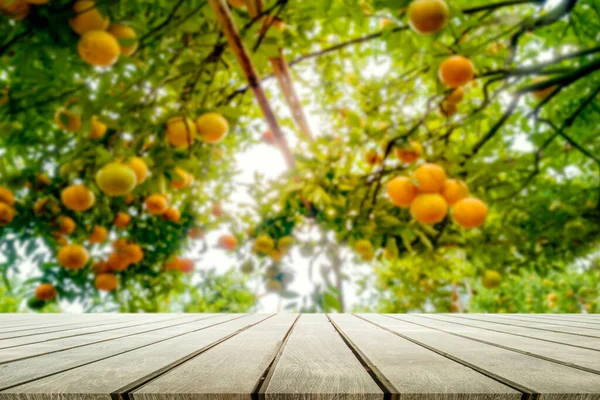 Felső Asztal Narancs Gyümölcs Farm Background Copyspace Stock Kép