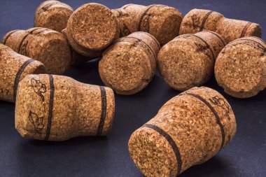 Şampanya mantarları gri sırtüstü karışık.