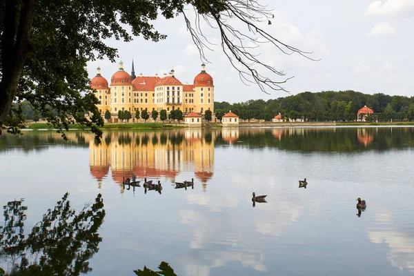 Dresden / Saksonya yakınlarındaki Moritzburg köyündeki barok şatosu.