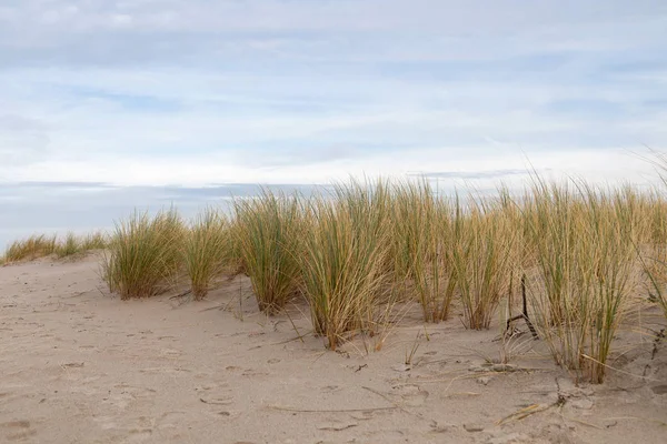 Sanddünen Strand Von Warnemünde Morgen — Stockfoto