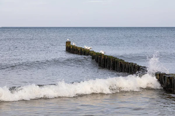 Strand Warnemuende Egy Gyönyörű Téli Napon — Stock Fotó