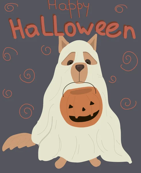 Halloween costumed dog holds pumpkin — Stock Vector