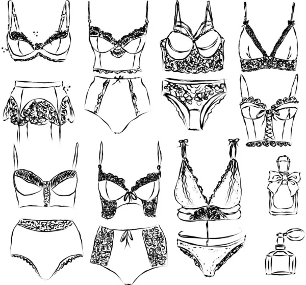 Set of lingerie elements.Vector — 스톡 벡터