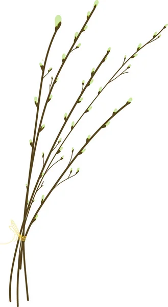 Elemento floral dibujado a mano, rama de sauce sobre un fondo blanco aislado. Doodle, ilustración simple . — Vector de stock