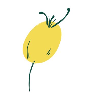 Tek çiçek, yaprak, bitki, dal. Vektör. Klişe karalama. Beyaz bir arka planda izole edilmiş. Tasarım için, kartlar davet dekorasyon etiketleri