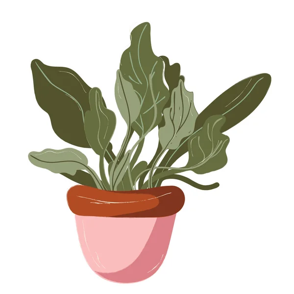 Panela de jardim único com planta. Decoração de jardim e ferramentas. Vector. Doodle Clipart. Isolado sobre um fundo branco. Para design, cartões, convite, decoração, adesivos . — Vetor de Stock