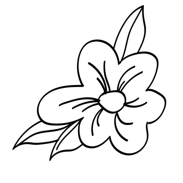 Pojedynczy Doodle Outlne Kwiat Liść Roślina Gałązka Wektor Banał Bazgrołów — Wektor stockowy