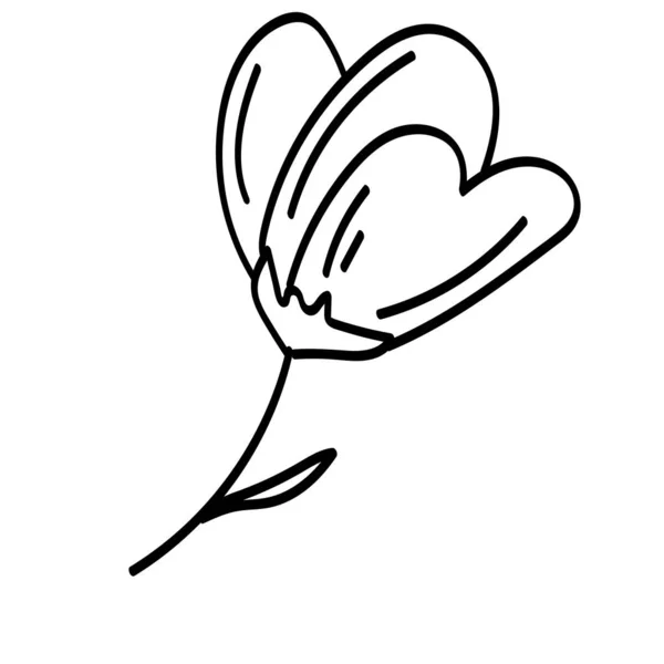 Jeden Čmáranice Outlne Květina List Rostlina Větvička Vektor Čmáranice Izolované — Stockový vektor